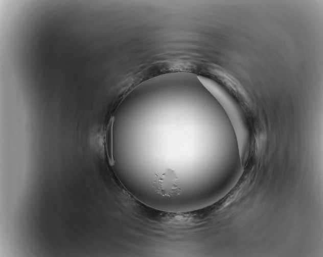 X0000093410329200710190950