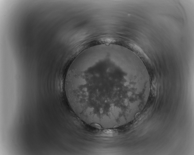 X0000093410330200710190950