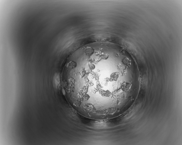 X0000093410335200710190950