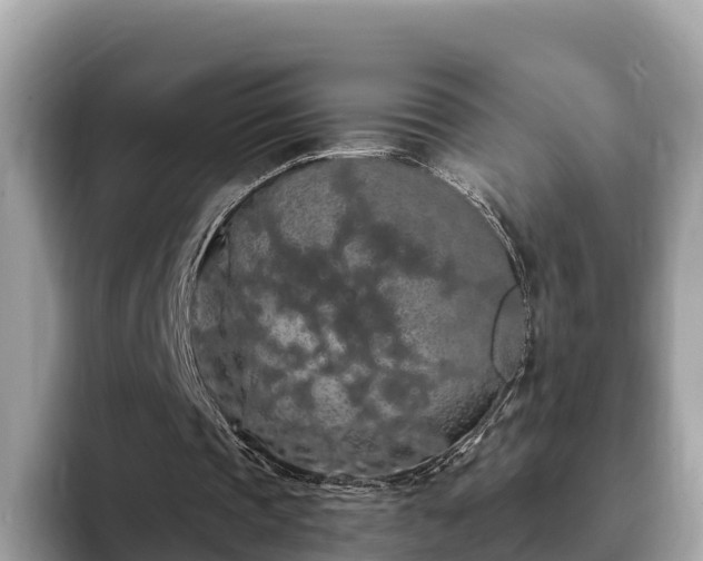 X0000093410337200710190949