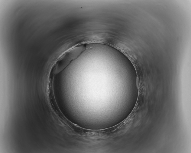 X0000093410338200710190949