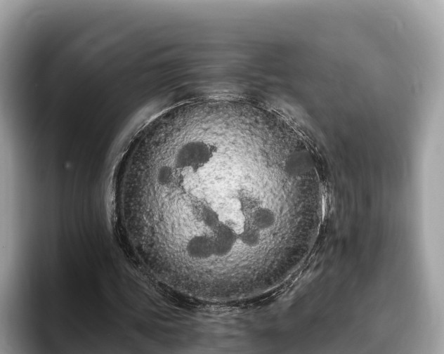 X0000093410339200710190949