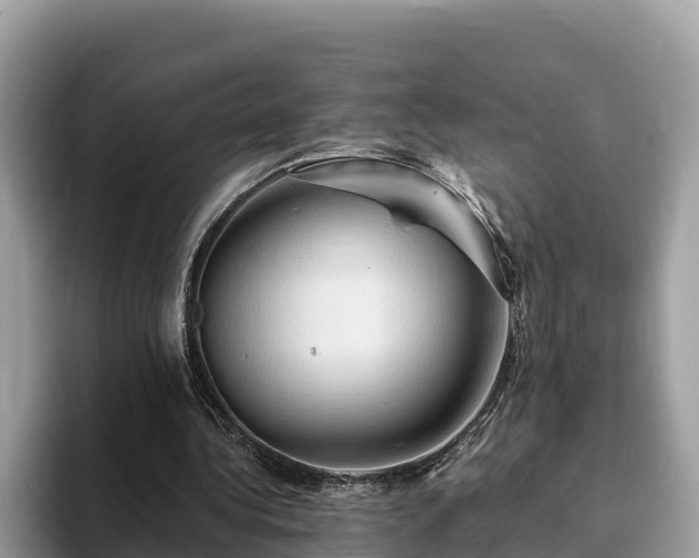 X0000093410340200710190949