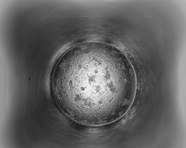 X0000093410341200710190949