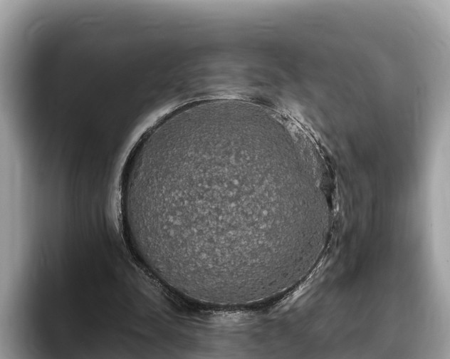 X0000093410342200710190949