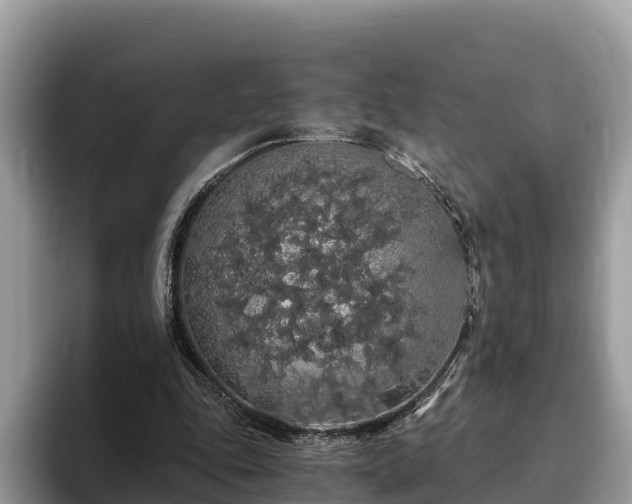 X0000093410343200710190949