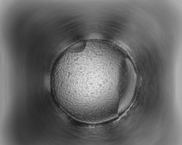 X0000093410345200710190949