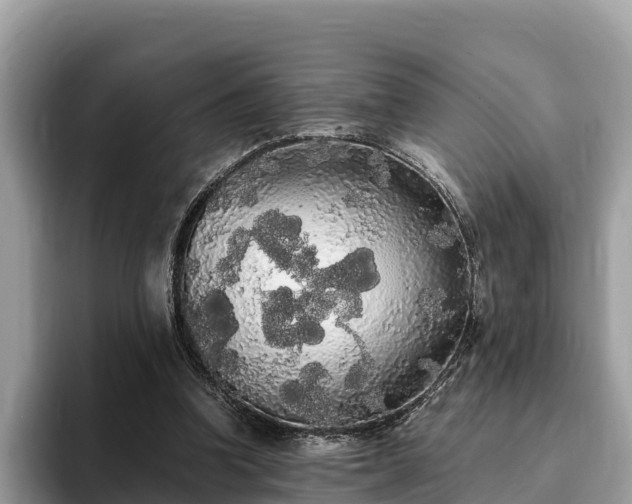 X0000093410346200710190949