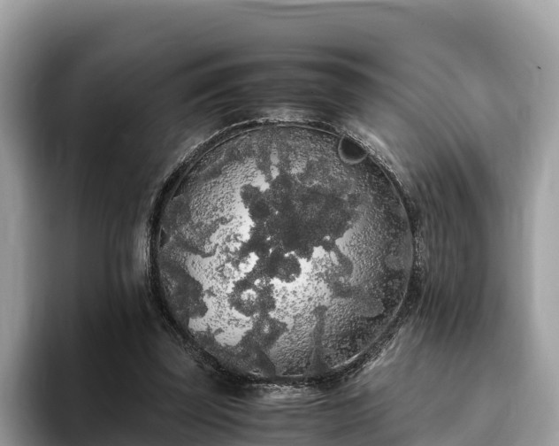 X0000093410347200710190949