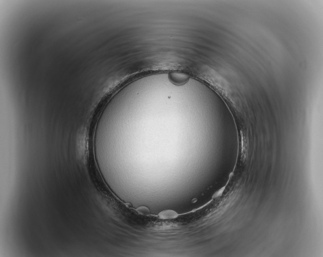 X0000093410348200710190949