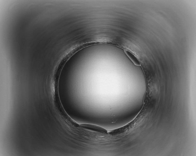 X0000093410350200710190949