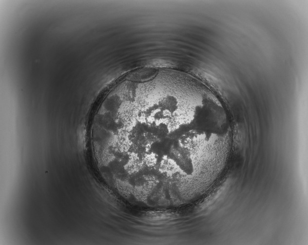 X0000093410351200710190949