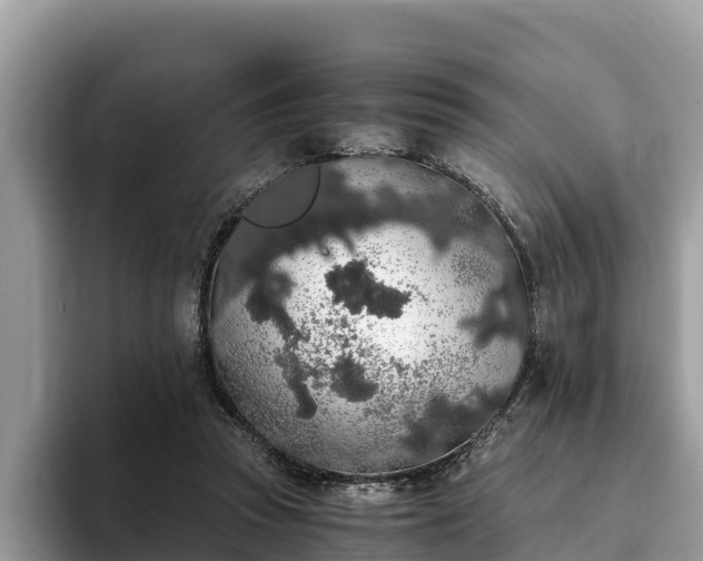 X0000093410353200710190949