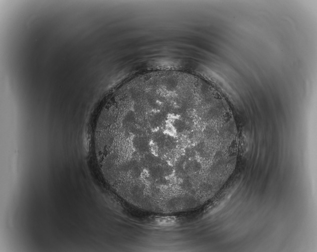 X0000093410355200710190949