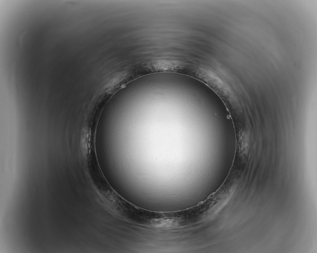 X0000093410356200710190949