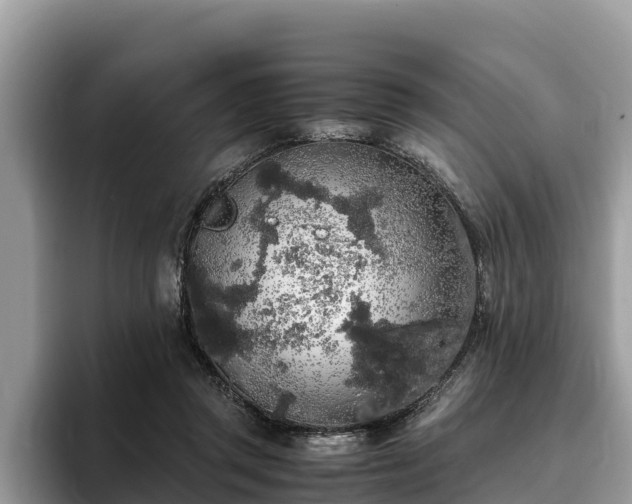 X0000093410357200710190949