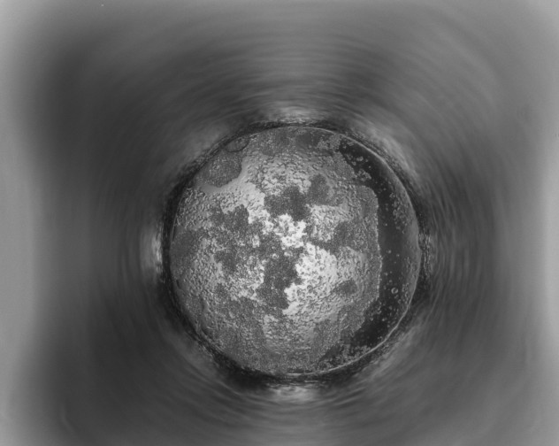 X0000093410358200710190949