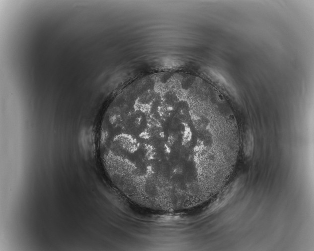 X0000093410366200710190950