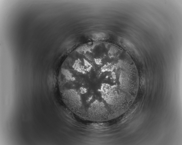 X0000093410367200710190950