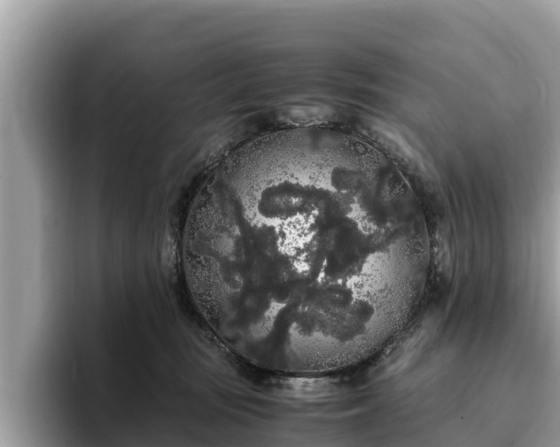 X0000093410371200710190950