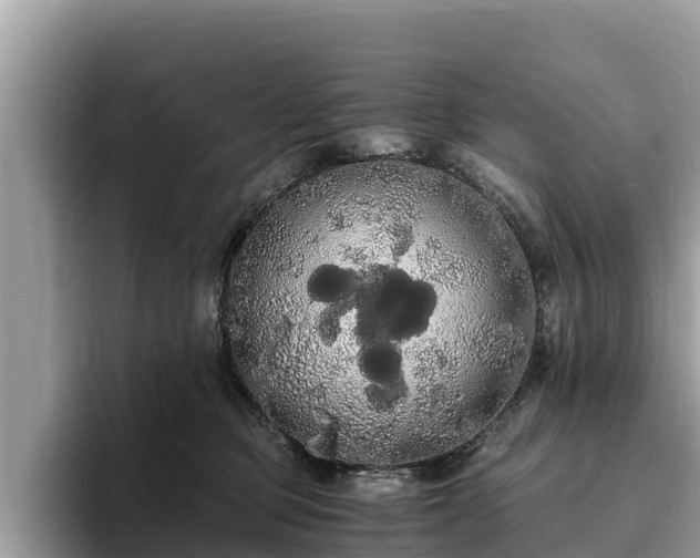 X0000093410373200710190950