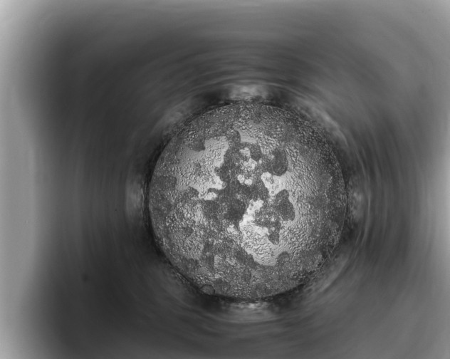 X0000093410375200710190950