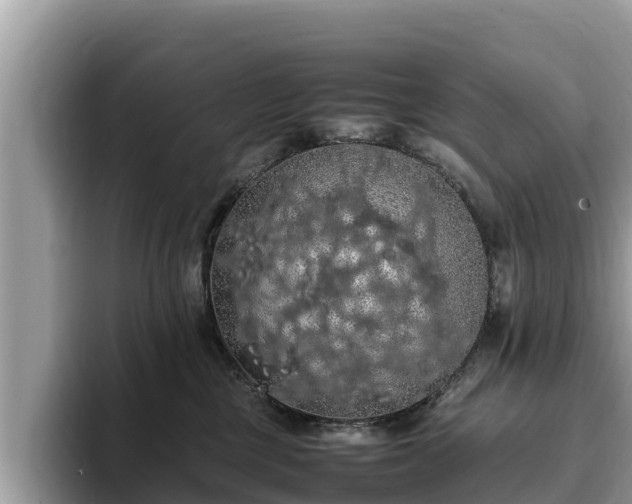 X0000093410377200710190950