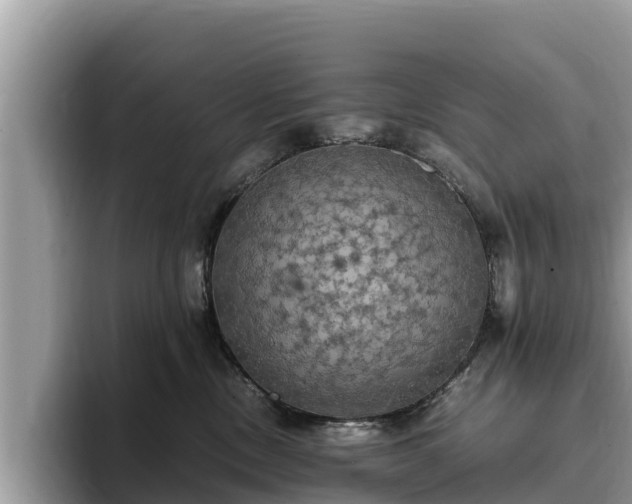 X0000093410378200710190950