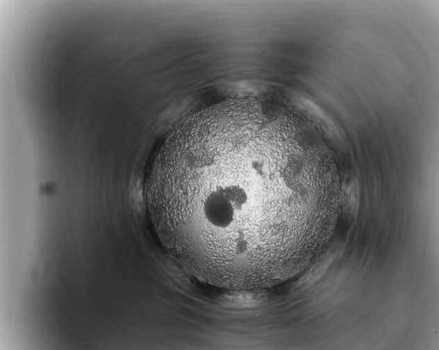 X0000093410381200710190950