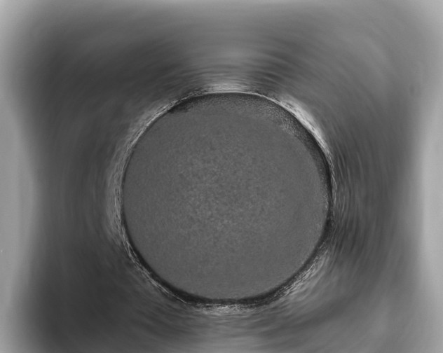 X0000093410385200710190949