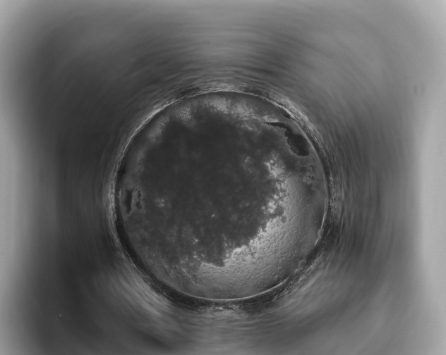 X0000093410386200710190949