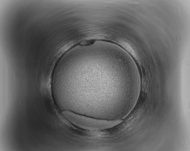 X0000093410389200710190949