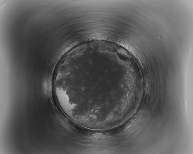 X0000093410390200710190949