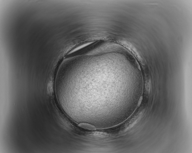 X0000093410393200710190949