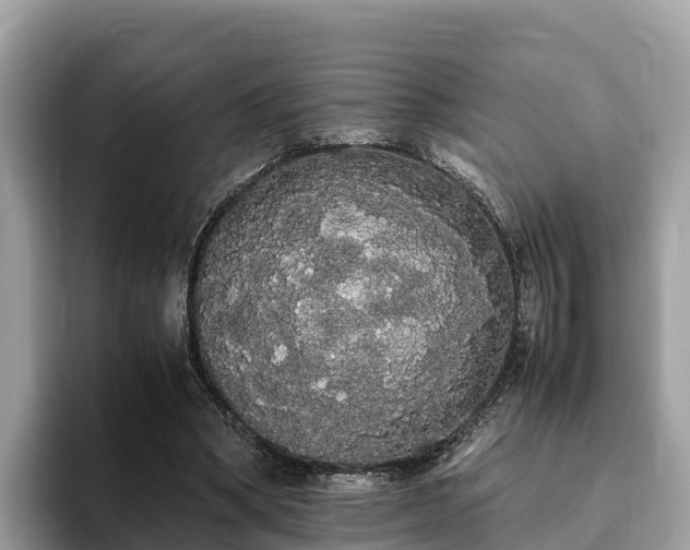 X0000093410394200710190949