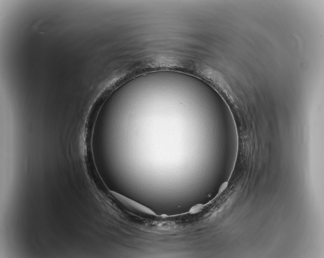 X0000093410395200710190949