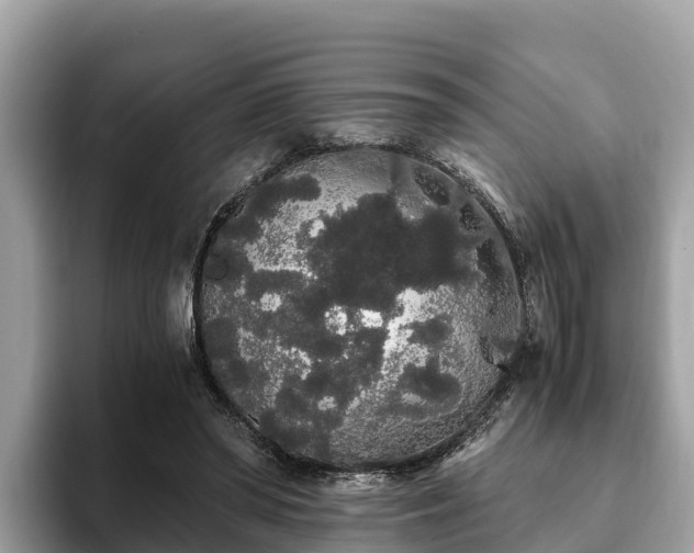 X0000093410398200710190949