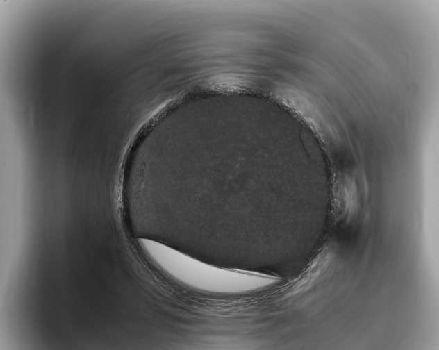 X0000093410399200710190949