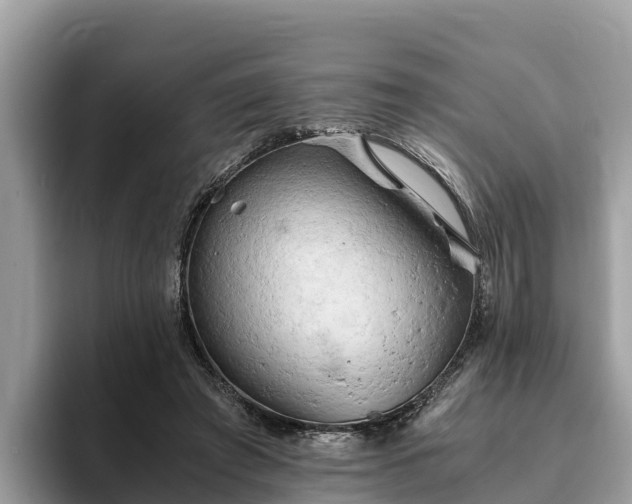 X0000093410401200710190949