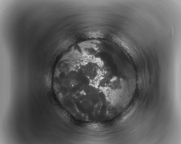 X0000093410402200710190949