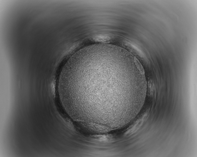 X0000093410404200710190949