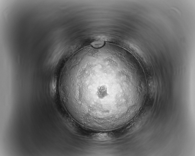 X0000093410406200710190949