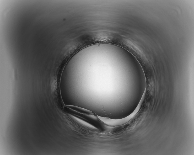 X0000093410407200710190949