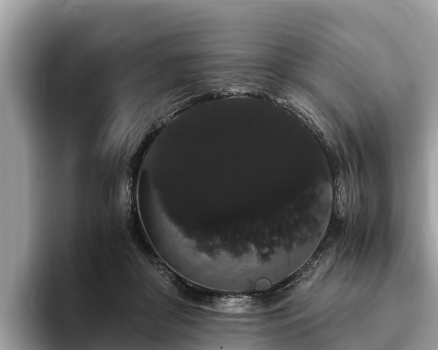 X0000093410410200710190949