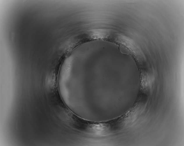 X0000093410411200710190949