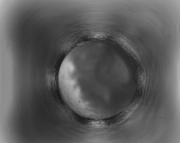 X0000093410415200710190949