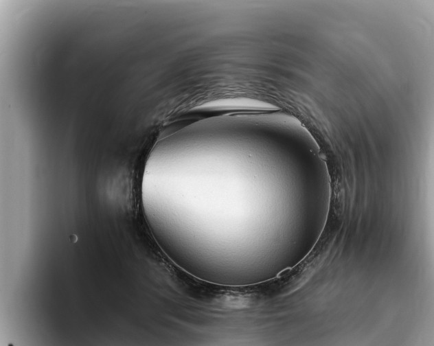 X0000093410416200710190949