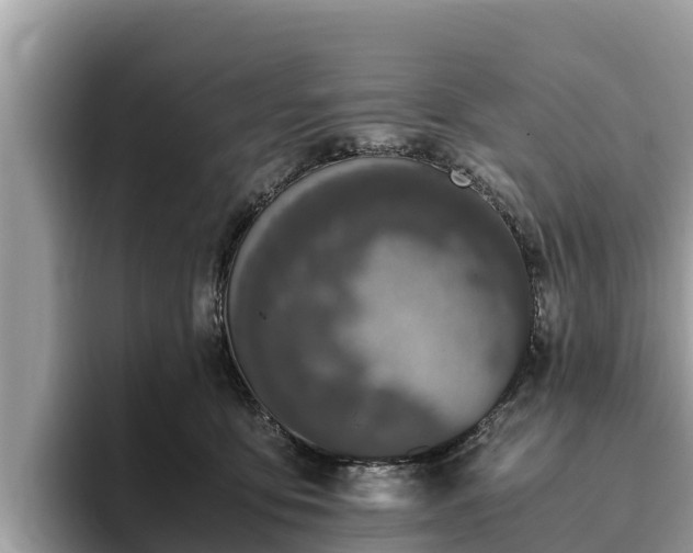 X0000093410419200710190949