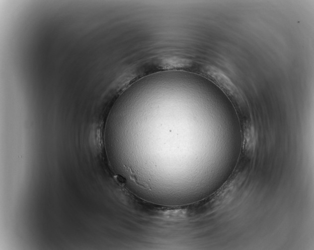 X0000093410426200710190949