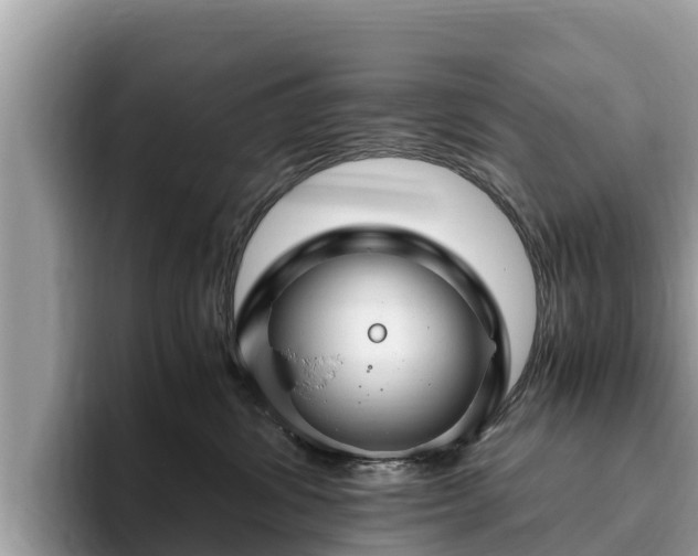 X0000093410428200710190949